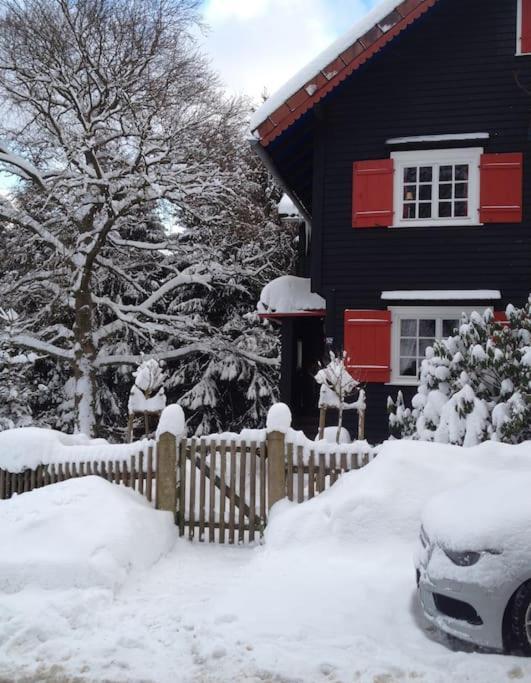 Villa Herzog - Ferienhaus Fuer 6 Personen In Braunlage, Harz Extérieur photo